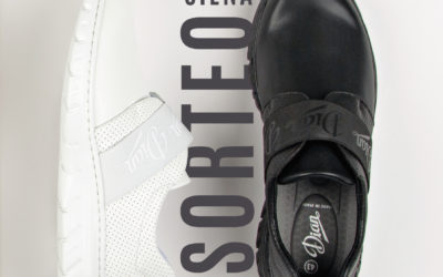 Sorteo modelo Siena de Dian: «Celebramos las buenas noticias»