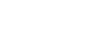 logo-main-white-300x171